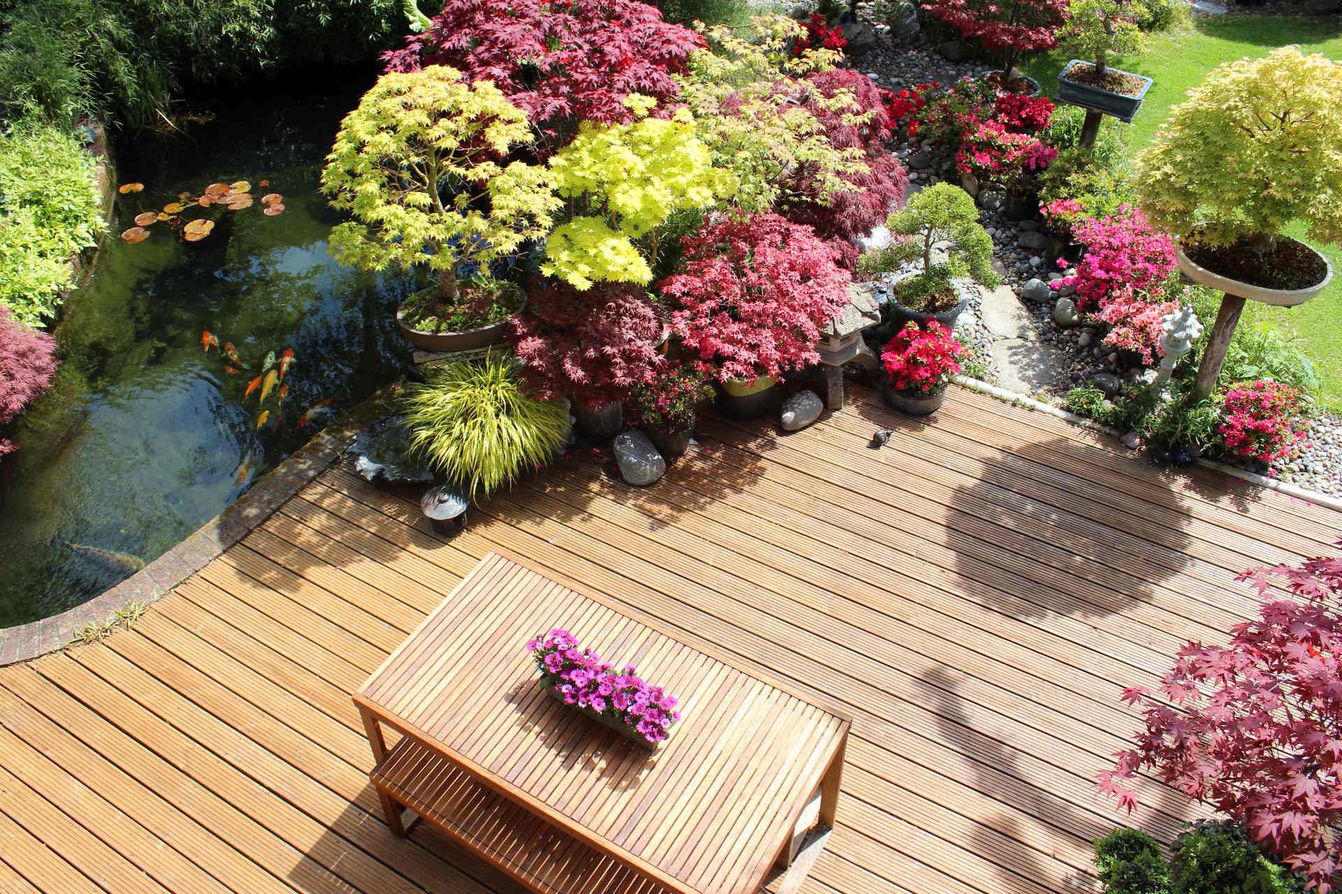 Holzterrasse aus Terrassendielen mit Gartentisch zwischen blühenden Pflanzen, Draufsicht