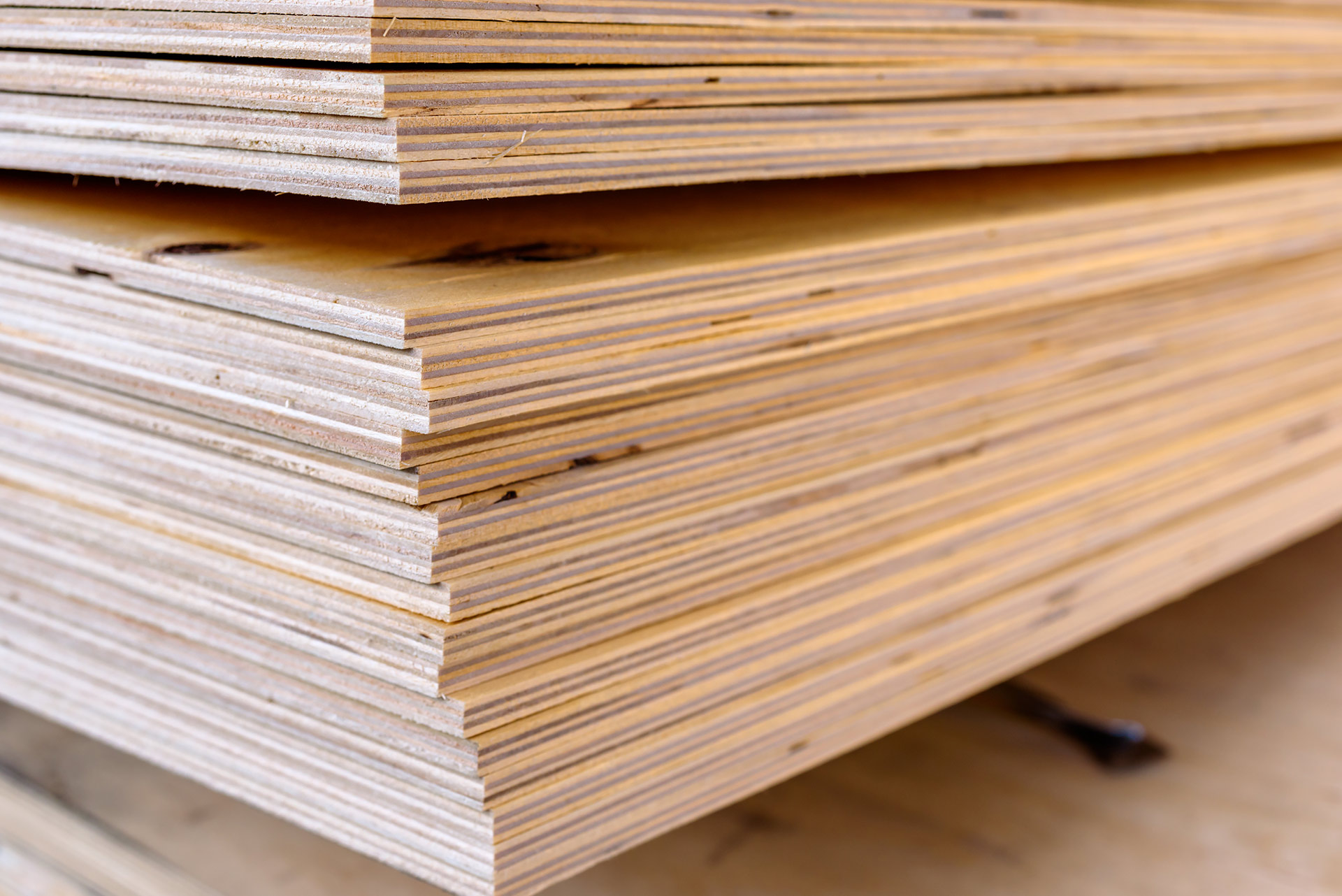 Sperrholzplatten im Stapel als Material für Sperrholzkisten und Exportverpackungen