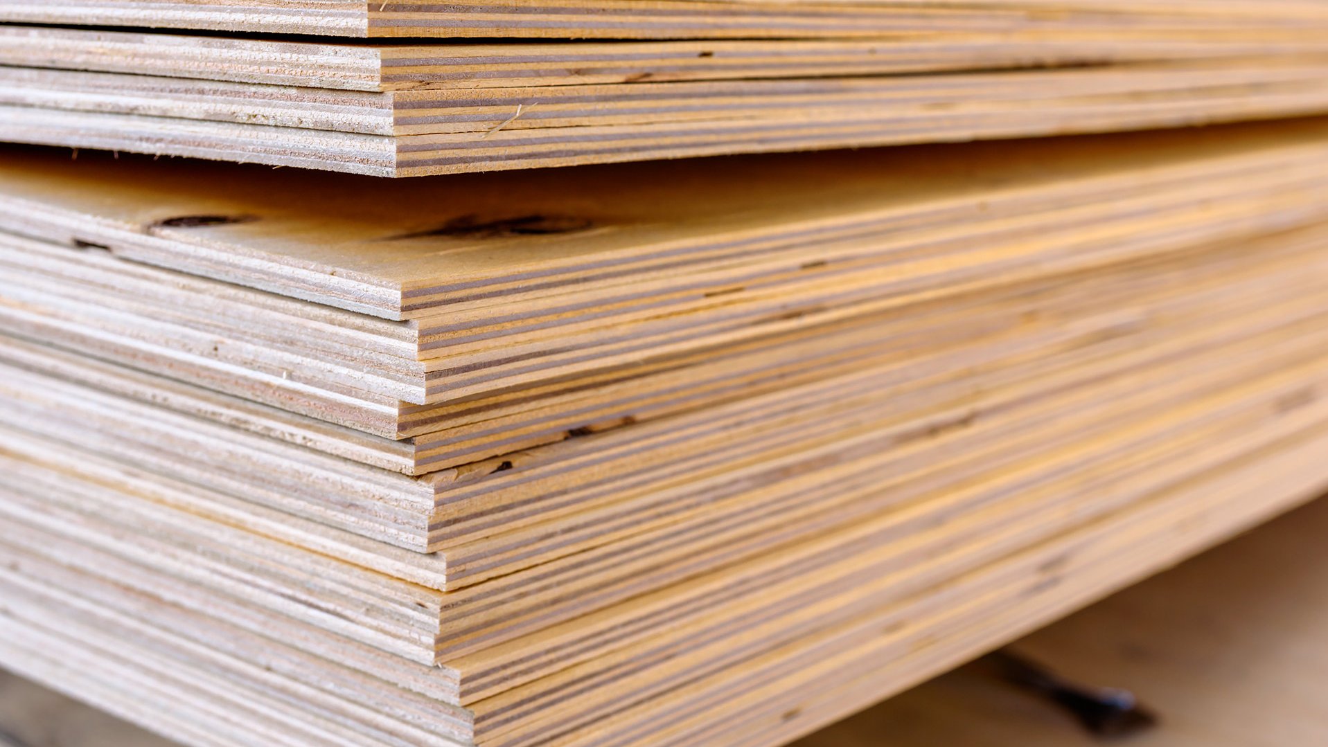 Sperrholzplatten im Stapel als Material für Sperrholzkisten und Exportverpackungen